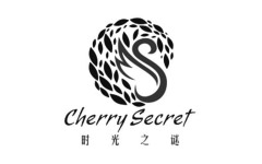 时光之谜/Cherry Secret
